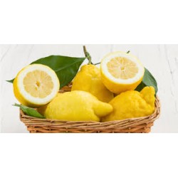 limoni amalfi non trattati 1kg