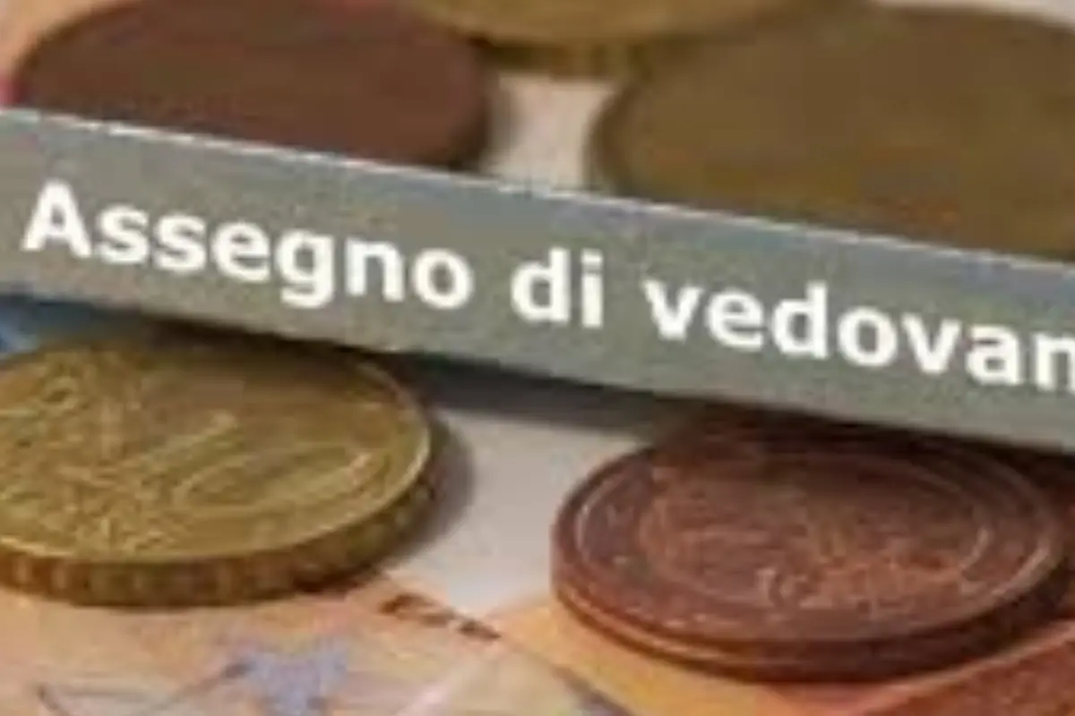 Immagine selezionata
